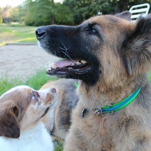 Meet your Posher, Heather